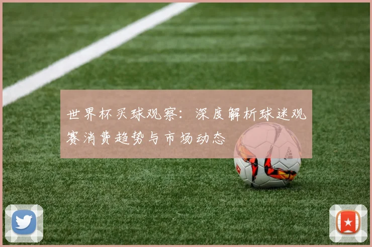 世界杯买球观察：深度解析球迷观赛消费趋势与市场动态